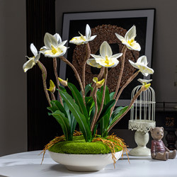Simulated Angel Orchid Potted Plant, Artificial Flower with a High-End Feel, Suitable for Dining Table, Indoor Coffee Table, Home Floral Decoration Ornament