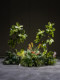 Large simulated plant landscape indoor living room shopping mall window floor-standing potted bionic fake green plant combination decoration