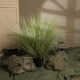 Artificial Green Plants, Reed Flowers, Foxtail Grass, Fake Trees, Floor-Standing Potted Plants, Living Room, Window Display, Clothing Store Decoration Ornaments