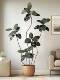 Large Artificial Plant Black Rubber Tree Indoor Fake Green Plant Potted Landscape Bionic Home Floor Decoration