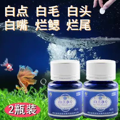 White spot net fish medicine ornamental fish fungal infection white spot disease special goldfish small melon worm water mold treatment anthelminate tablets