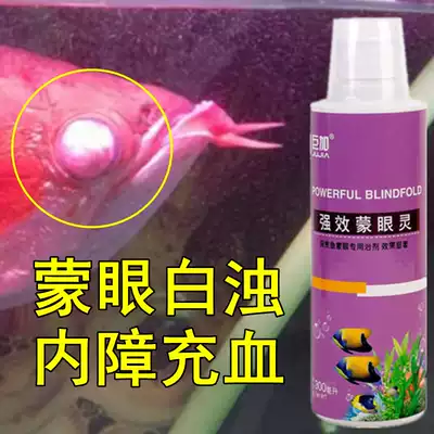 Blind eye fish medicine Red dragon parrot fish universal disease treatment goldfish convex eye tiger fish big eye congestion special fish eye treasure