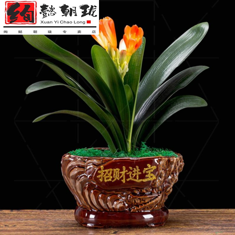 Flowerpot ceramic large clearance package mail creative move classical fashion flower implement rich tree flower pot sitting room