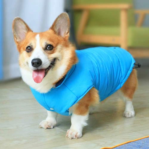 Зимний удерживающий тепло жилет, демисезонный пуховик, популярно в интернете