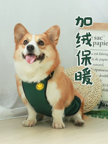 Дудоу, водонепроницаемый дождевик, флисовый удерживающий тепло осенний бандаж пупочный, анти-грязь