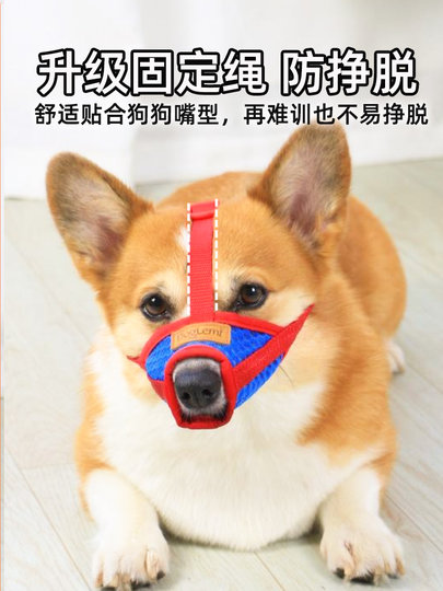 宠物狗狗嘴套防叫防咬防扒嘴罩口罩中型犬柯基泰迪止吠器幼犬专用