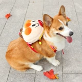 Собачья рюкзак самостоятельно питомец женьшеня