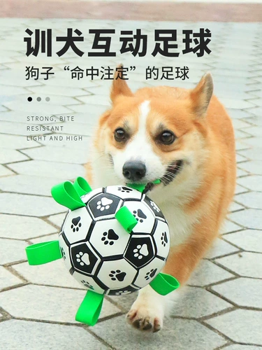 Футбольная игрушка, интерактивный прыгучий мяч, домашний питомец, избавление от скуки