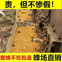 Pollen wasp Private beekeeping bee pollen wasp bee Pure Natural Rape Pollen Beekeeper Bee Honey Bee Dedicated Honeybee