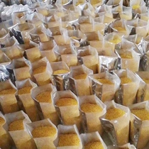 Pollen-in-bee special pollen beekeeping honey bee feed to feed bee rape mixed powder granular bee grain