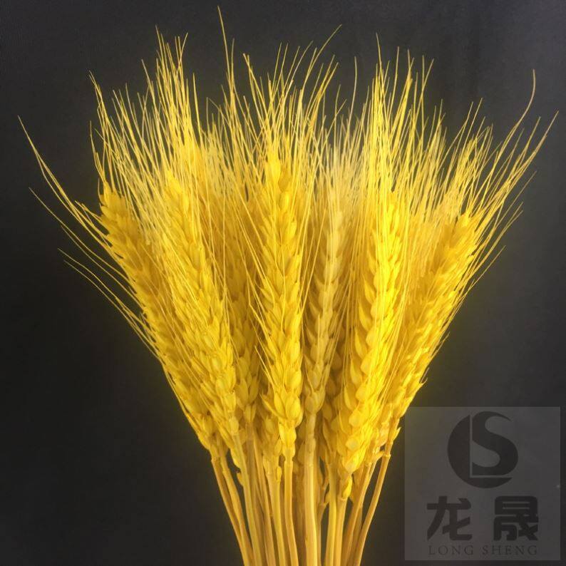 Harvest plants, pine cones, real flowers, living room, golden spruce fruit, wheat spikes, dried flowers, fake flowers, lotus decorations, opening