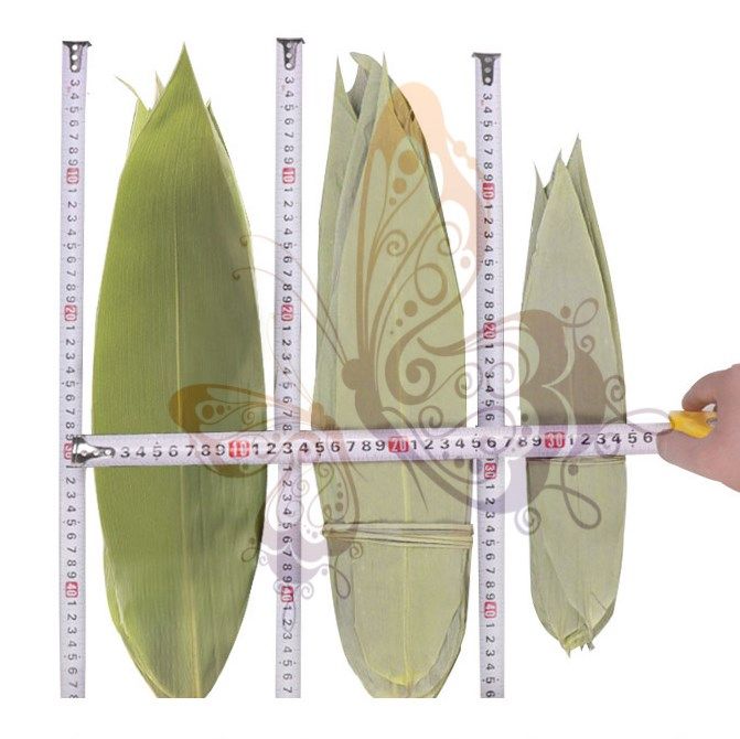 Dry glutinous rice leaf trumpet fresh large bag glutinous rice leaf farmhouse reed leaf old-fashioned sautéed leaf rope Dragon Boat Festival