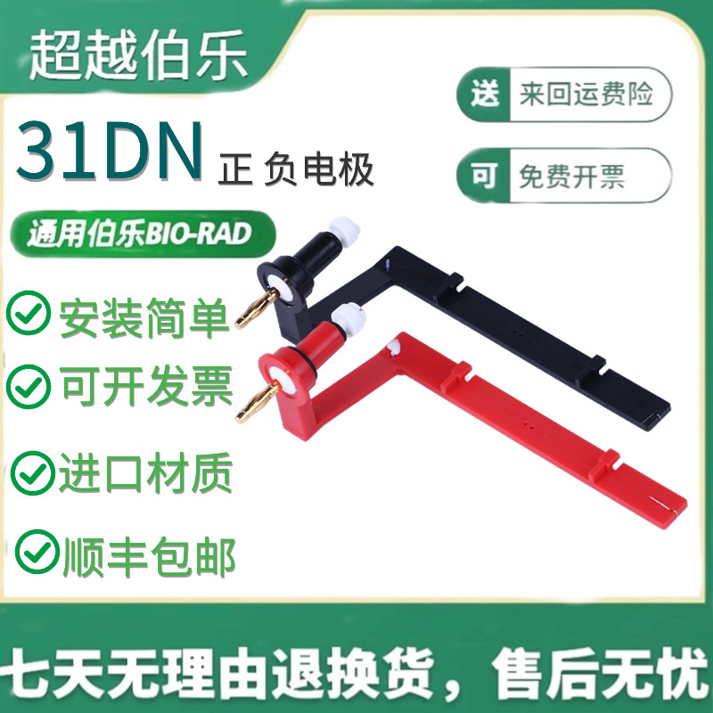 31DN电泳槽电极条红黑正负电极六一通用国产0.3mm铂金丝DNA核酸