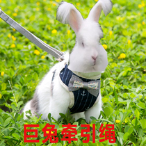 Angora rabbit leash pet rabbit anti-break out rabbit anti-bite vest type slip rabbit leash