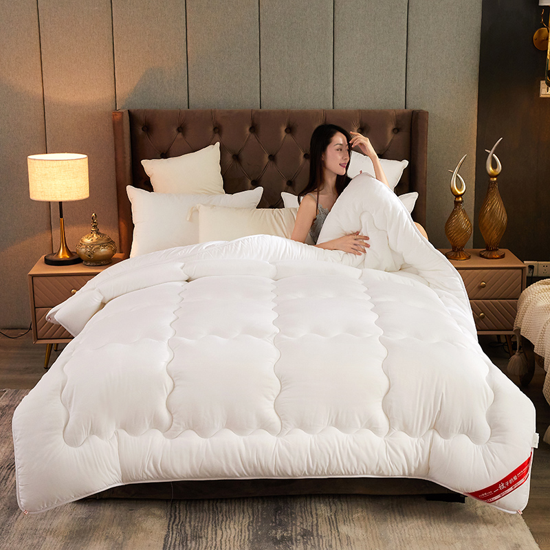 Korean style solid color simple solid color brushed embossed spring and autumn quilt core fluffy soft breathable 8 catties winter quilt