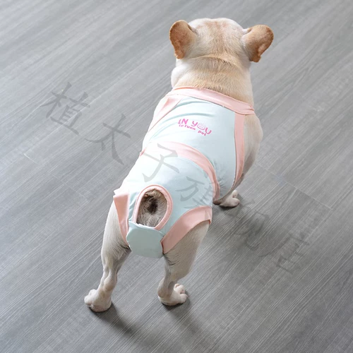 FA Dou Dou Dog Physicological Banns Женщина Тедди Корги Puppy Pabagata Пакет Пакет домашних животных брюки тетя тетя