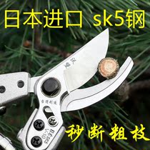 Bonsai Trim Styling Special Tool Flowers Wood Cut Pruning Branch Scissors Gardening Large Full Trim Branches God Instrumental Fruit Trees