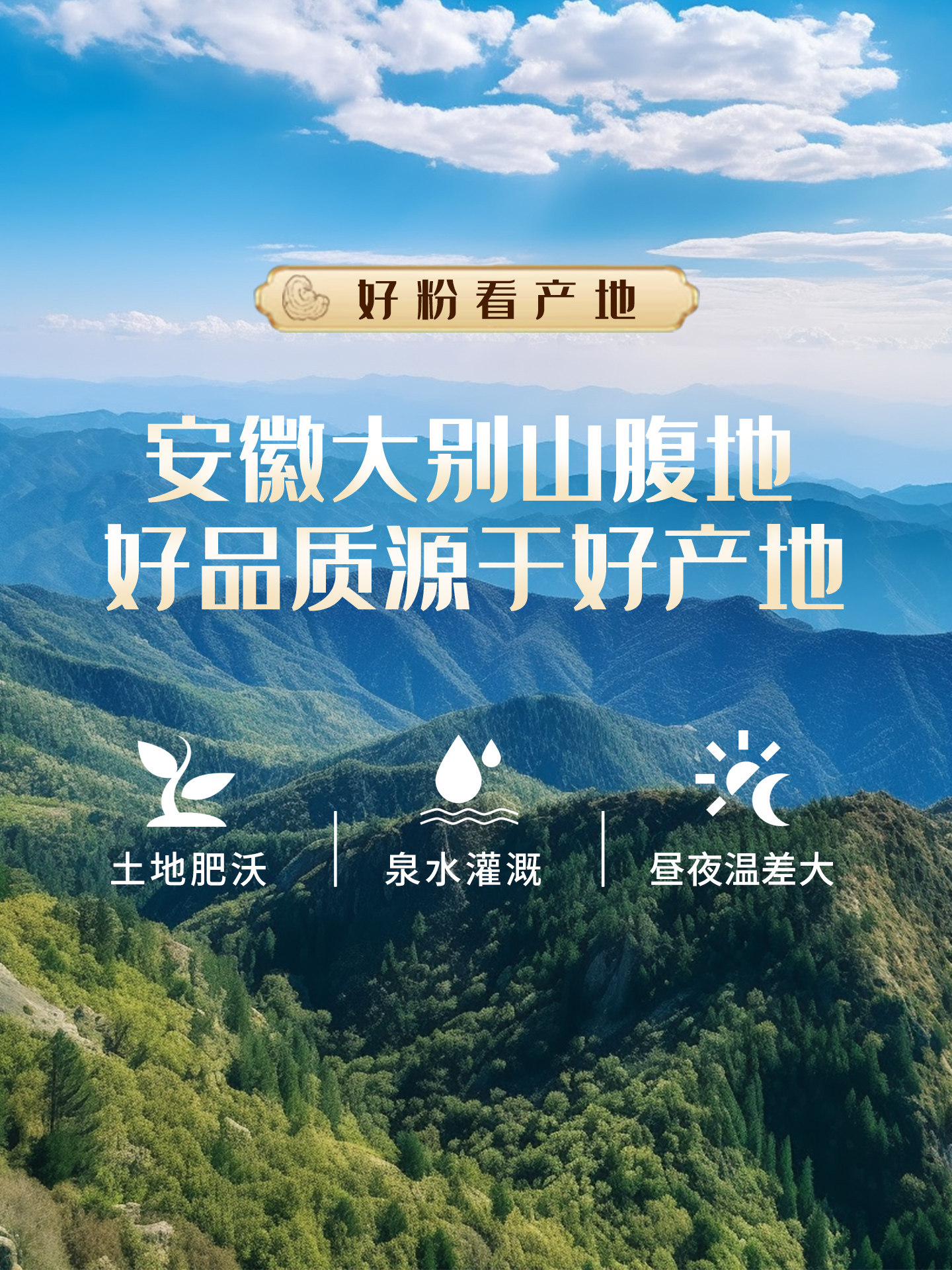 Yuyi Ganoderma Spore Powder Capsules, Health Supplement for Middle-Aged and Elderly People, Official Store Genuine Product