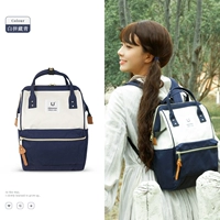 Белый пинцхей синий большой