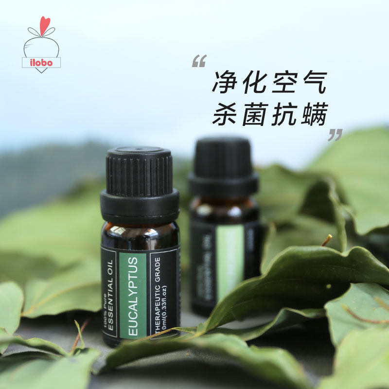 Eucalyptus桉树香薰精油，ilobo加湿器如何提升你的居家生活？-香薰精油-淘宝好物网