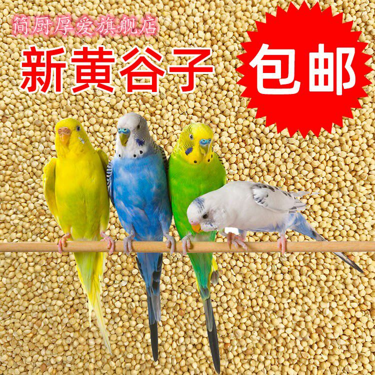 Tiger parrot feed bird food xuanfeng millet peony grain wenniao shell millet yellowbird food 250g try to eat