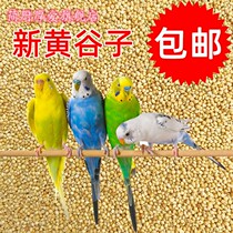 Budgerigar feed bird food Xuanfeng millet Peony grain Wen Bird with shell millet yellow bird bird food 250g Try