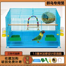 Bird cage Large metal bird cage Xuanfeng Budgerigar starling embroidered eye bird cage Acacia bird breeding household bird cage