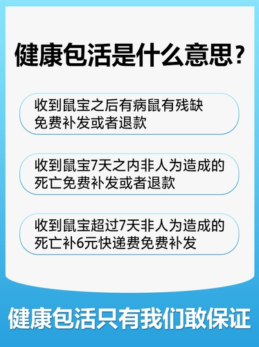 Семейная питательная печень маленькой хомяка была вакцинирована и здорово