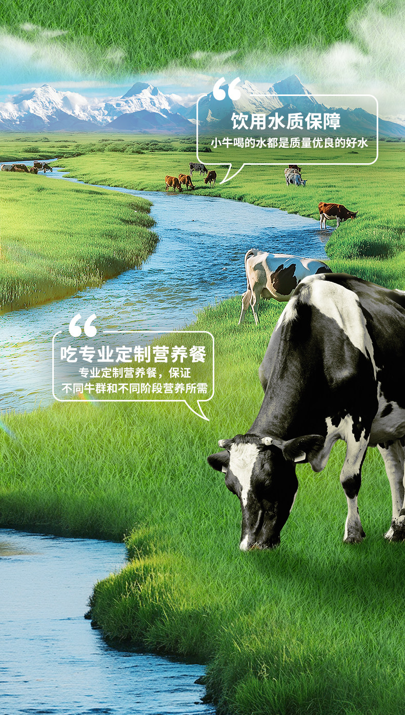 安享好物 安享B级纯奶-优然纯牛奶  国标 