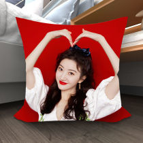 Jingtian pillow star same style sofa pillow animation peripheral pillow custom photo birthday gift female pillowcase