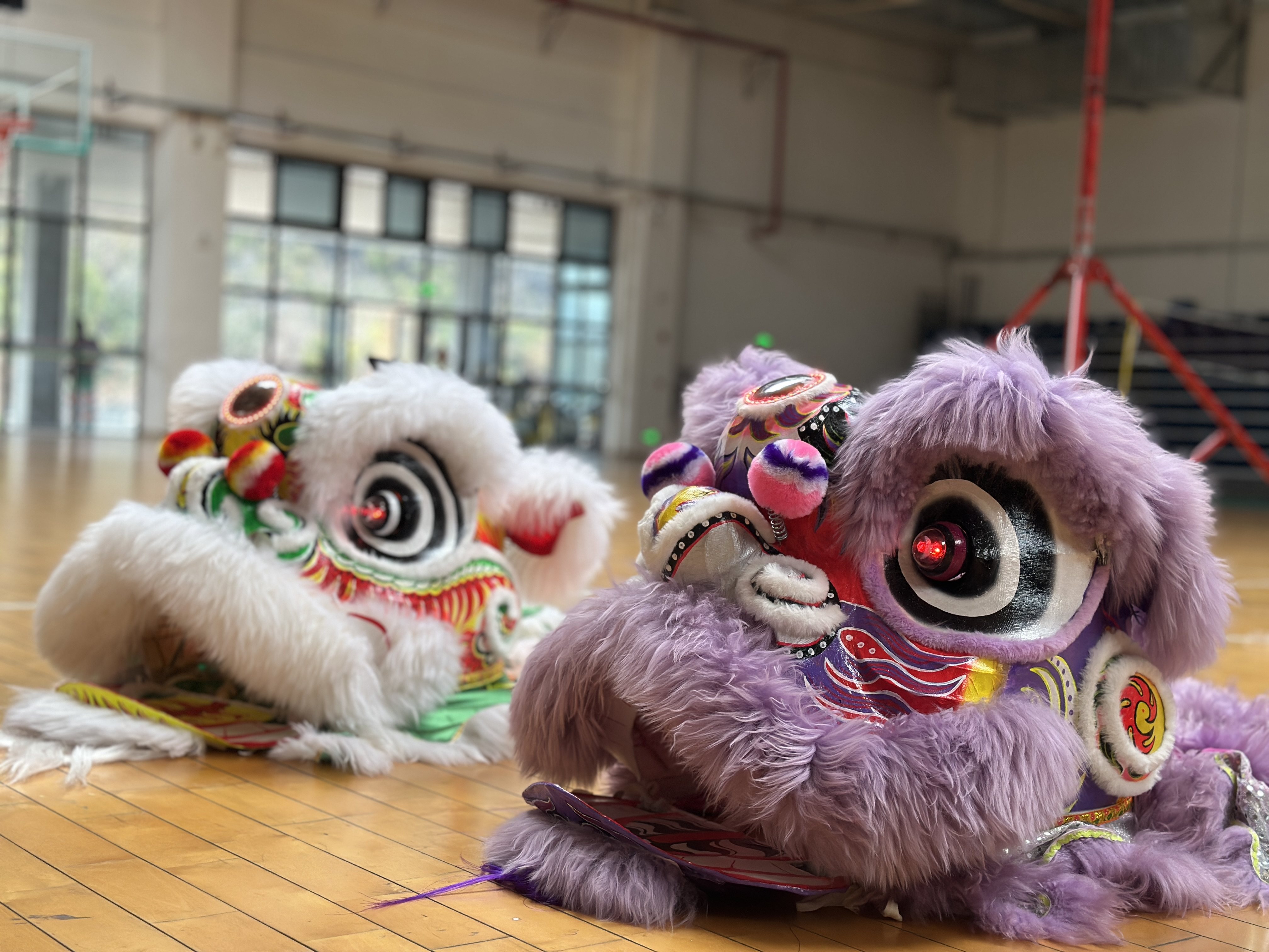 醒狮狮头出租,舞狮表演道具租借,让你瞬间变身舞狮高手!🎉--淘宝好物网
