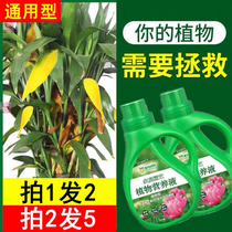 Zhimei horticulture universal concentrated nutrient solution fertilizer body fluid is only 29 9 yuan 2 large bottles Default to shoot 2 pieces and send 5 bottles