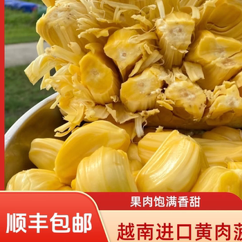 Crispy and sweet dried jackfruit imported from vietnam