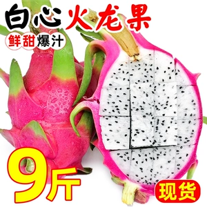 [越南白心火龙果9斤新鲜应当季热带水果孕妇宝宝白肉火龙果红包邮]