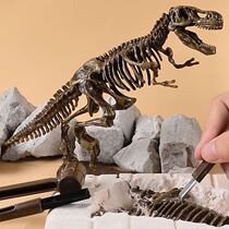 Dinosaur fossil original stone model large archaeological excavation toy archaeological Tyrannosaurus Rex 2021 net red children
