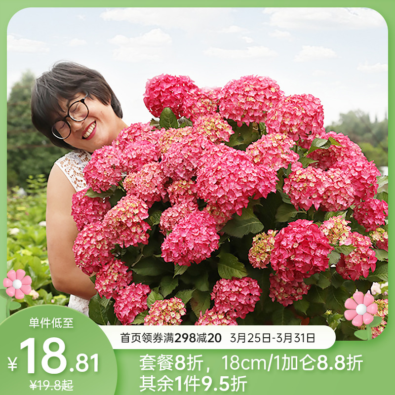 Heidi's Garden Flagship Shop Embroidery Flower Flower Flower Flower Flower Pot Plant
