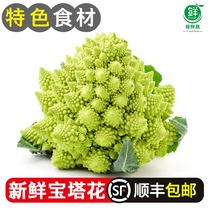 Pagoda cauliflower fresh vegetables Roman broccoli Western food restaurant special ingredients broccoli with leaves