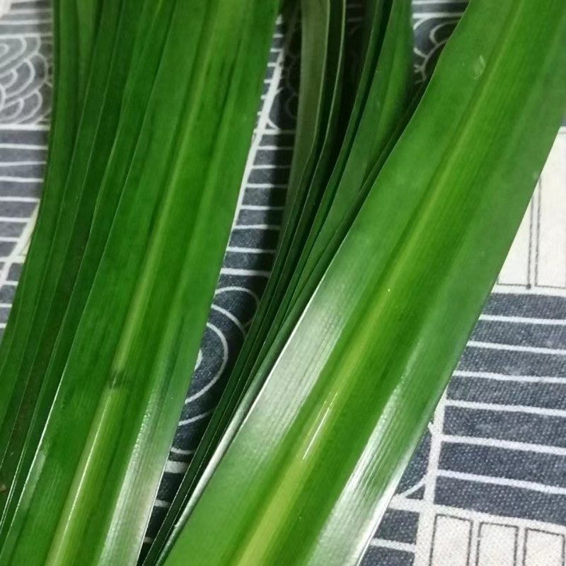 斑斓叶新鲜食用香兰叶班兰叶商用500g:解锁东南亚美食的秘密武器!-斑斓叶-淘宝百科网