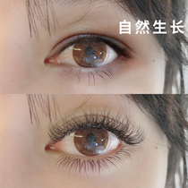 (Recommended by Li Jiaqi) bid farewell to false eyelashes