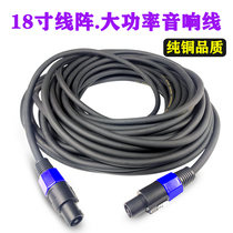 Professional audio lossless speaker cable NL4FC head two-core audio plug speaker 6 35MM to ohm cable