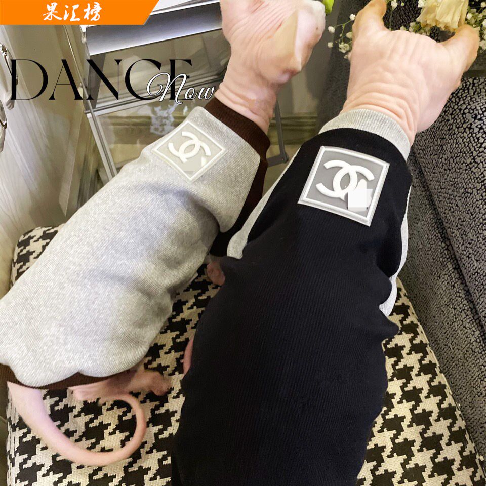 Spinx Cat Spring and summer Clothes German Pet Cat General Model Cotton Breakthrough Color Color