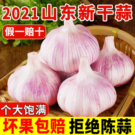 Guowangyuan Shandong Jinxiang Garlic Dried Garlic 5Jin [Jin is equal to 0.5kg] Packed with purple skin 2Jin [Jin is equal to 0.5kg] Fresh multi-petal farmhouse 2023 seeds 10Jin [Jin is equal to 0.5kg]