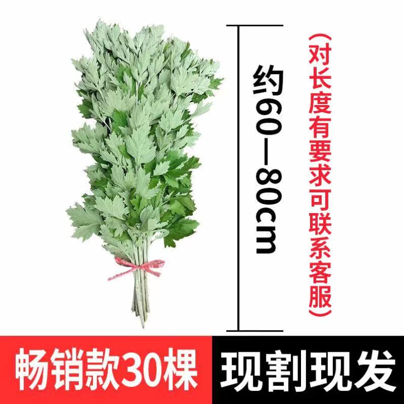 End Afternoon Fresh Agrass Calamus Hanging Door Whole Bare Doorway Aileaf Gift Gift New Products Wild Bath Fumigation