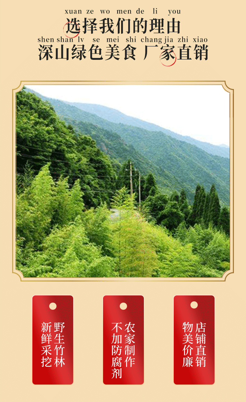 竹尹 黄山扁尖竹笋干 嫩笋尖 5斤 图3