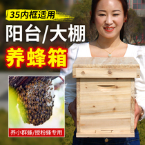 Nouvelle abeille moyenne petite ruche ensemble complet de boîtes de leurre pour abeilles balcon élevage serre apiculture pollinisation groupe dœufs dédié