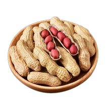 Fried peanuts garlic flavor wet roasted four red new shelled iron pot raw seeds fried in bulk ready to eat crispy and fragrant