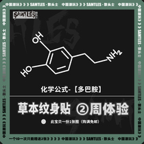 (Dopamine) Chemical Formula Tattoo Sticker Male Grass Ben Waterproof Female Durable Semi-permanent Ins Wind Net Red