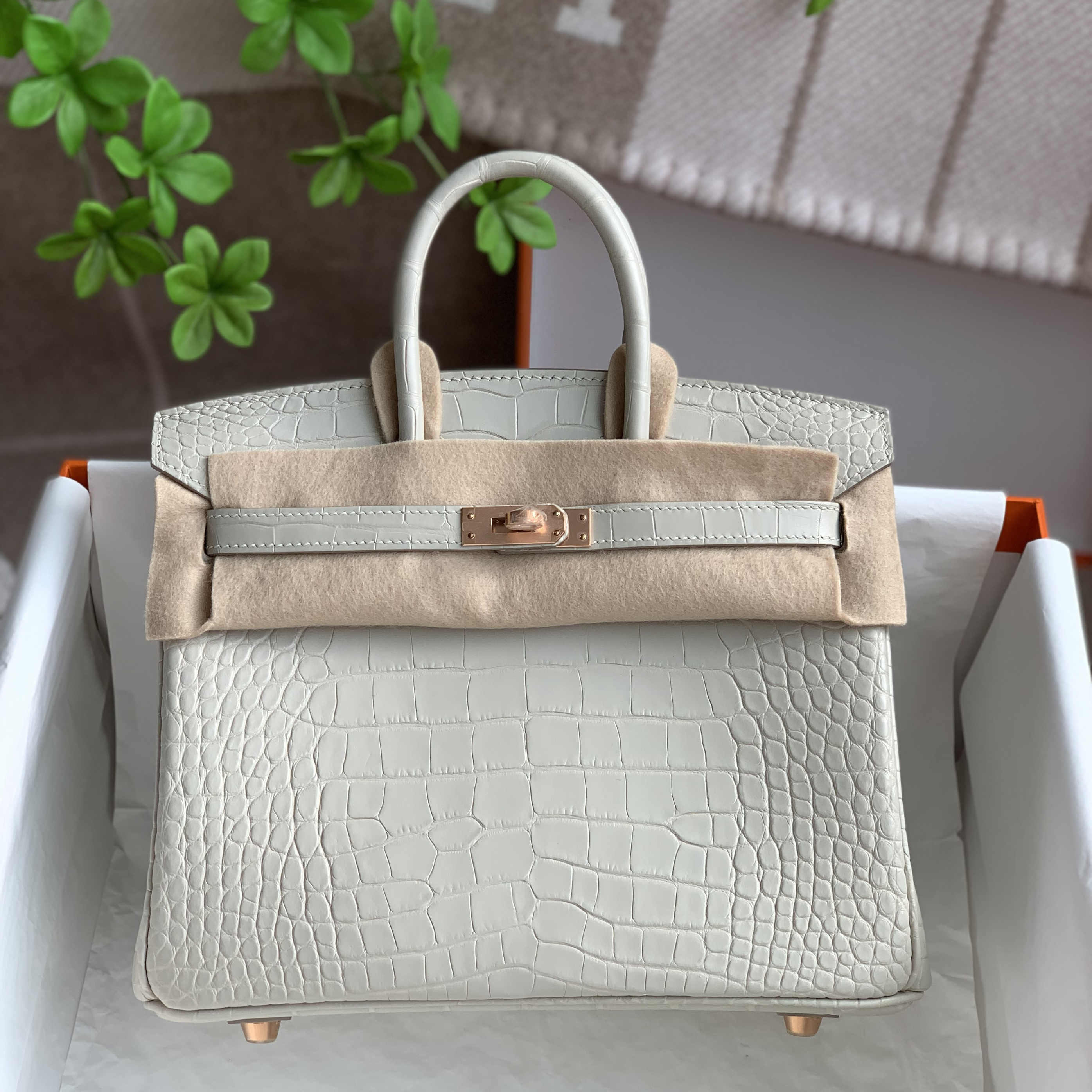 美洲鳄鱼皮- Top 1000件美洲鳄鱼皮- 2026年1月更新- Taobao