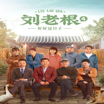 Country comedy TV series CD - ROM Liu Laogan DVD Disc - 4th vehicle is Zhao Bensan Fan Wei