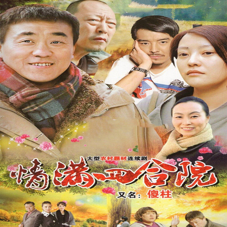 Rural emotional television series CD - ROM full of the Courtyard DVD disc Ho Ice Hole